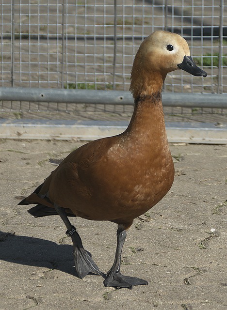 够引起广泛