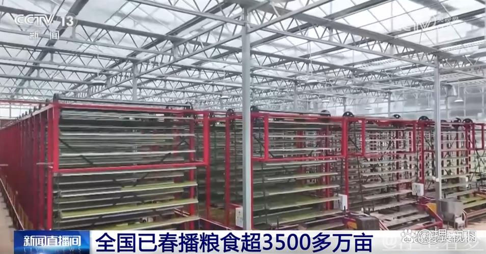 全国春播粮食面积已超3500万亩 全国春播粮食面积已超3500万亩